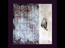 Encaustic series